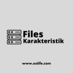 Karakteristik Pada File Server
