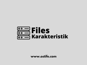 Karakteristik Pada File Server