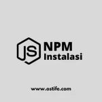 Cara Install NPM Di Laravel