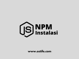 Cara Install NPM Di Laravel