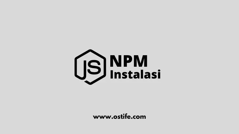 Cara Install NPM Di Laravel