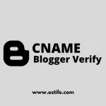 Cara Mendapatkan Kembali Kode CNAME Blogger Yang Hilang