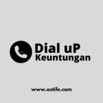 Keuntungan Menggunakan Koneksi Dial Up