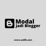 Tips Menjadi Blogger Bermodal HP Bagi Pemula