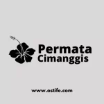 Simak Bagi Pemula! Tahapan Membeli Rumah di Perumahan Cimanggis