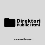 Fungsi Utama Direktori Public Html