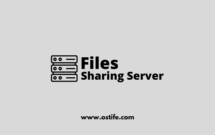Fungsi Dan Manfaat File Server