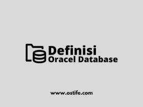 Definisi Client Server Environment Pada Oracle