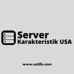 5 Karakteristik Dari Server Hosting USA