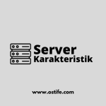 5 Karakteristik Dari Server Hosting USA