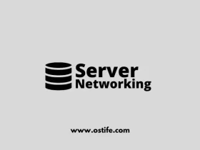 Fungsi Server Dalam Desain Jaringan Lokal