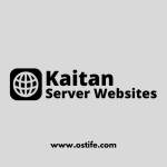 Keterkaitan Antara DNS Server, Web Server, dan Database Server