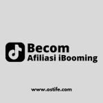 Hanya Melakukan Ini, Bisa Cuan di TikTok Menggunakan iBooming