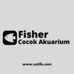Jenis-Jenis Ikan Hias yang Bisa Digabung dalam Akuarium