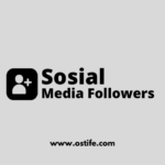 Jasa Tambah Followers: Solusi Cepat Tingkatkan Popularitas Akun Media Sosial Anda