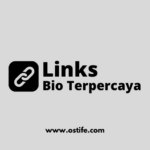 Zhost.io: Solusi Cepat dan Mudah untuk Hosting Game dan Bio Link