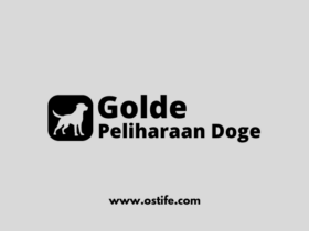 Mengetahui Jenis Anjing Peliharaan Berdasarkan Karakteristik Uniknya
