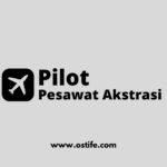 Mengenal Lebih Dekat Pesona Pertunjukan Udara dan Fakta Unik Pilotnya