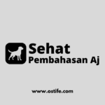 Cara Merawat Anjing Peliharaan Agar Tetap Sehat dan Bahagia