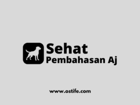 Cara Merawat Anjing Peliharaan Agar Tetap Sehat dan Bahagia