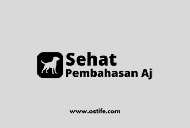 Cara Merawat Anjing Peliharaan Agar Tetap Sehat dan Bahagia