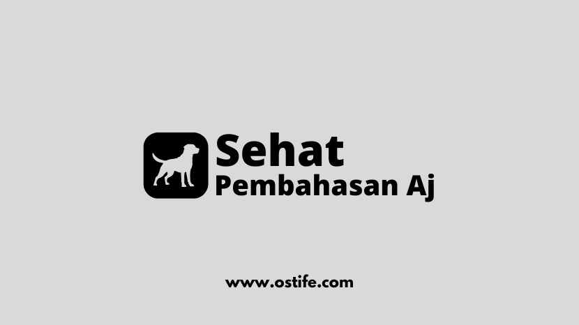 Cara Merawat Anjing Peliharaan Agar Tetap Sehat dan Bahagia