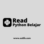 Apa Itu Python? Pengertian, Kelebihan, dan Cara Belajar untuk Pemula
